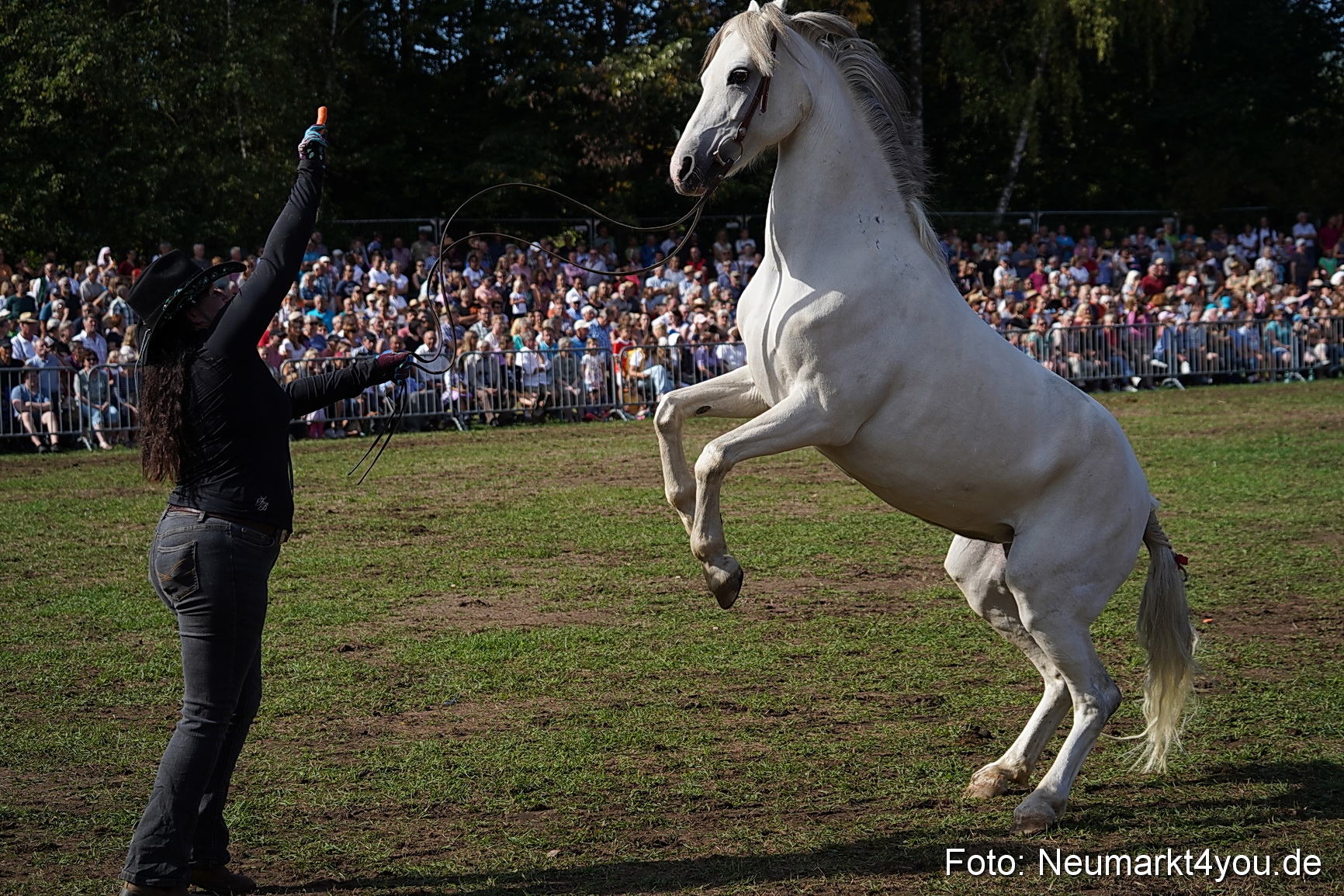 Pferde und Fohlenschau 2022 0167 